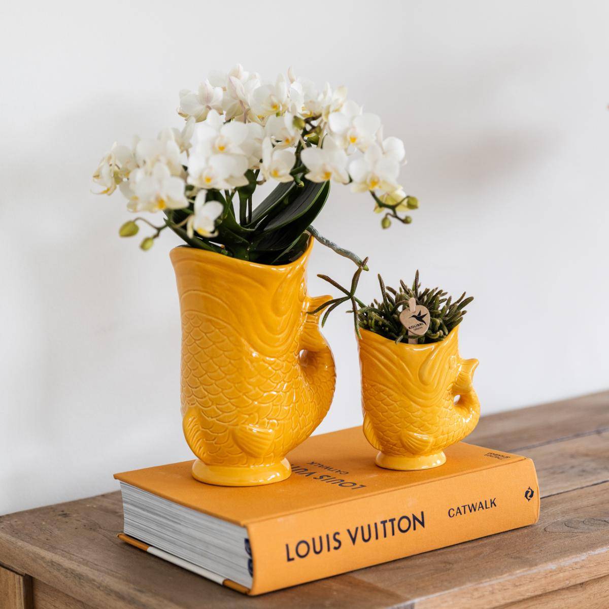 Kolibri Orchids Set D'orchidées Nazaréennes Blanches et de Succulentes Dans Un Pot à Poisson Orange Décoratif - D9 - Image 1
