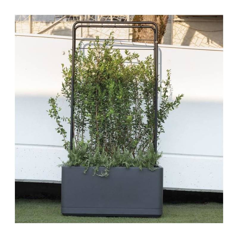 Deroma - Jardiniere Muret - Deroma - Cosmo - Anthracite - A Réserve D'eau - Roulettes - 78 Cm - Image 4