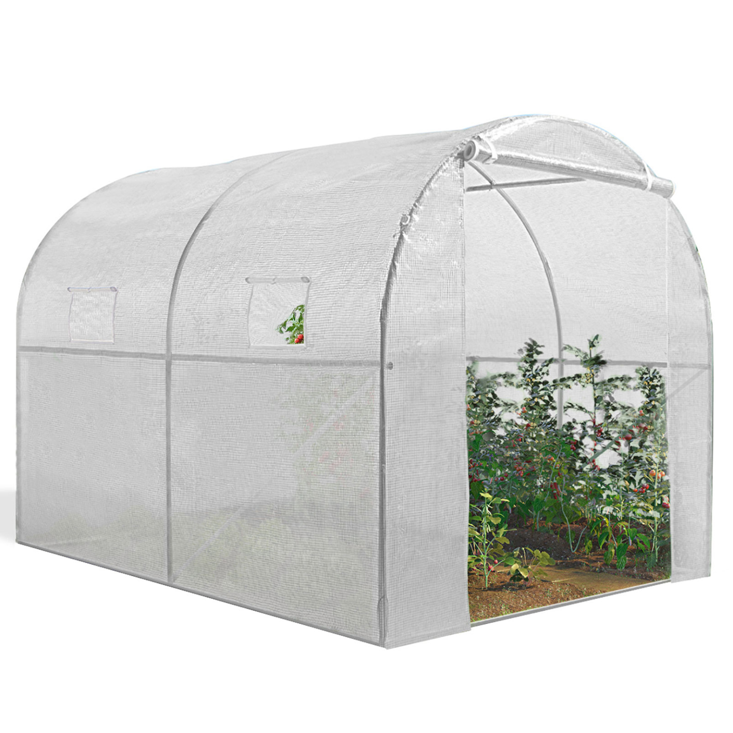 Serre tunnel de jardin 4 saisons 6M² blanche gamme maraîchère ROMA 2x3M - Image 5