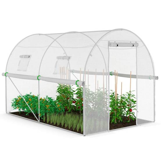 Serre de jardin tunnel 6m² 3 x 2 x 2 m acier galvanisé + bâche anti-UV avec porte et fenêtres ROMA blanche toutes saisons - Image 2