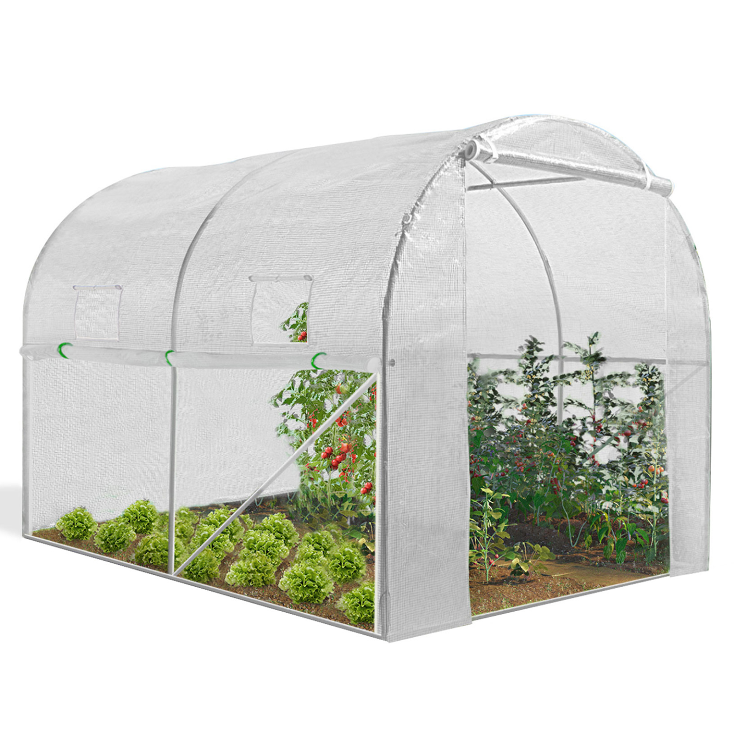 Serre tunnel de jardin 4 saisons 6M² blanche gamme maraîchère ROMA 2x3M - Image 2