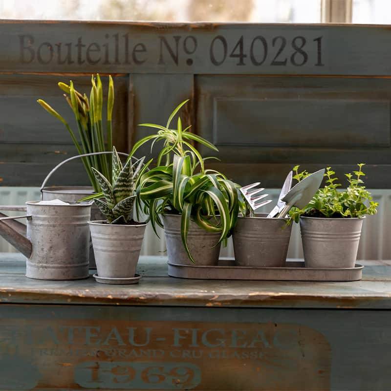 Esschert Design - Pot de fleurs Zinc 12 cm - Esschert Design - Image 3