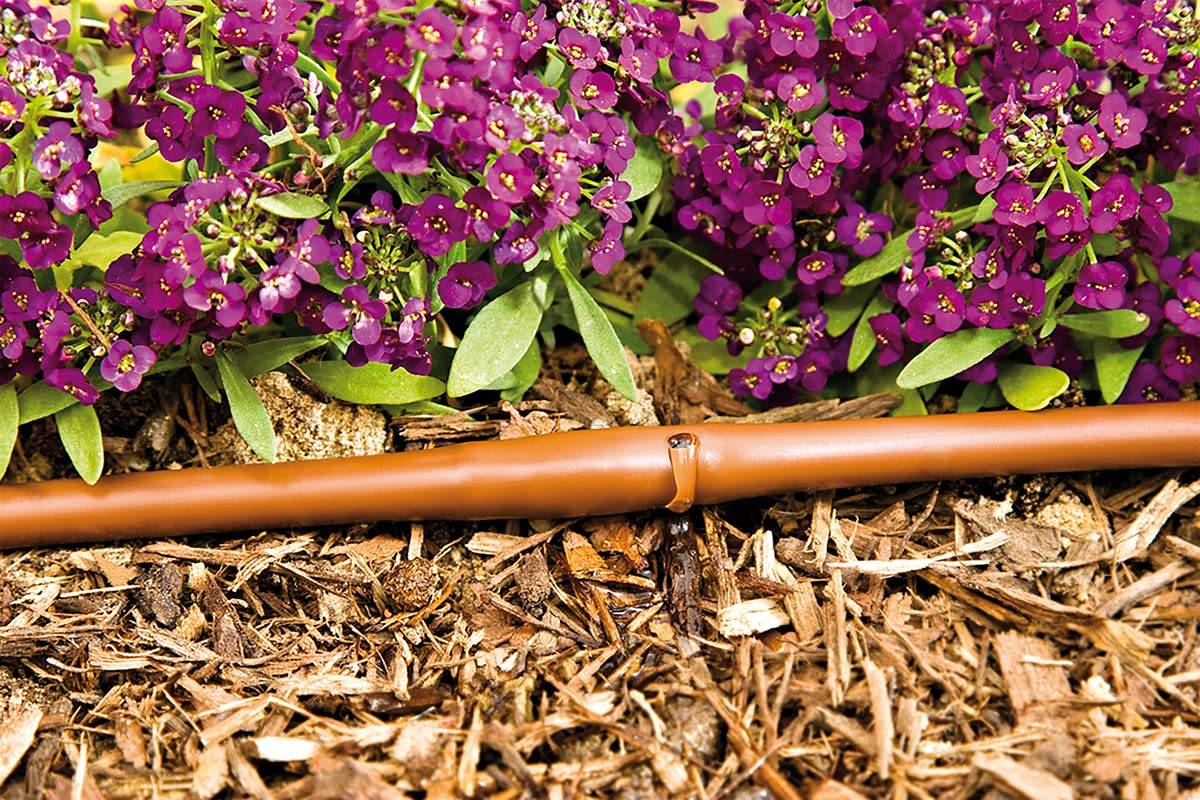 Jardibric - Jardibric - Tuyau Goutte à Goutte Pré-Percé 4x6 mm 15 m - Goutteurs Intégrés 2 L/h - Espacement 15 cm - Image 3