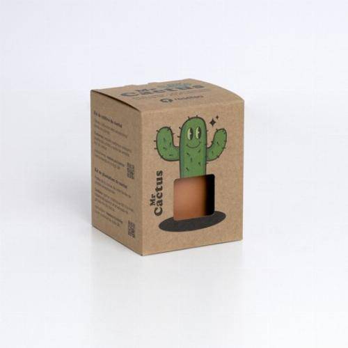kit pot cactus - famille Cactus - Baby - Image 3