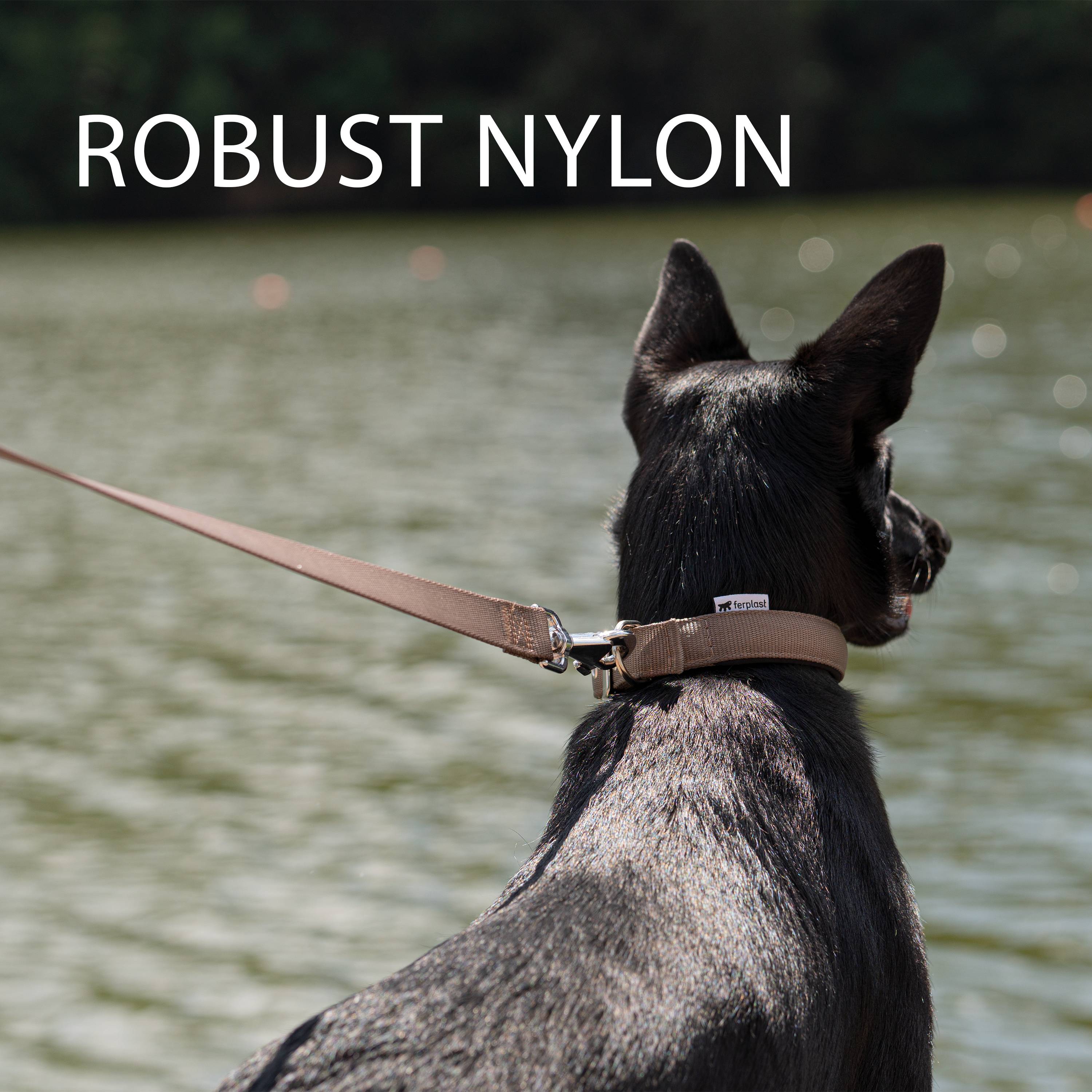 Ferplast - Ferplast laisse pour chien DAYTONA, laisse en nylon pour chiens de taille grande/ moyenne, 120 cm, avec poignée rembourrée confortable et mousqueton - Image 8