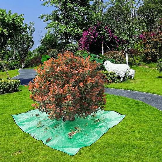 Bâche de Jardin Professionnelle - Imperméable - 4 Boucles de Transport DtopbuyAge - Image 3