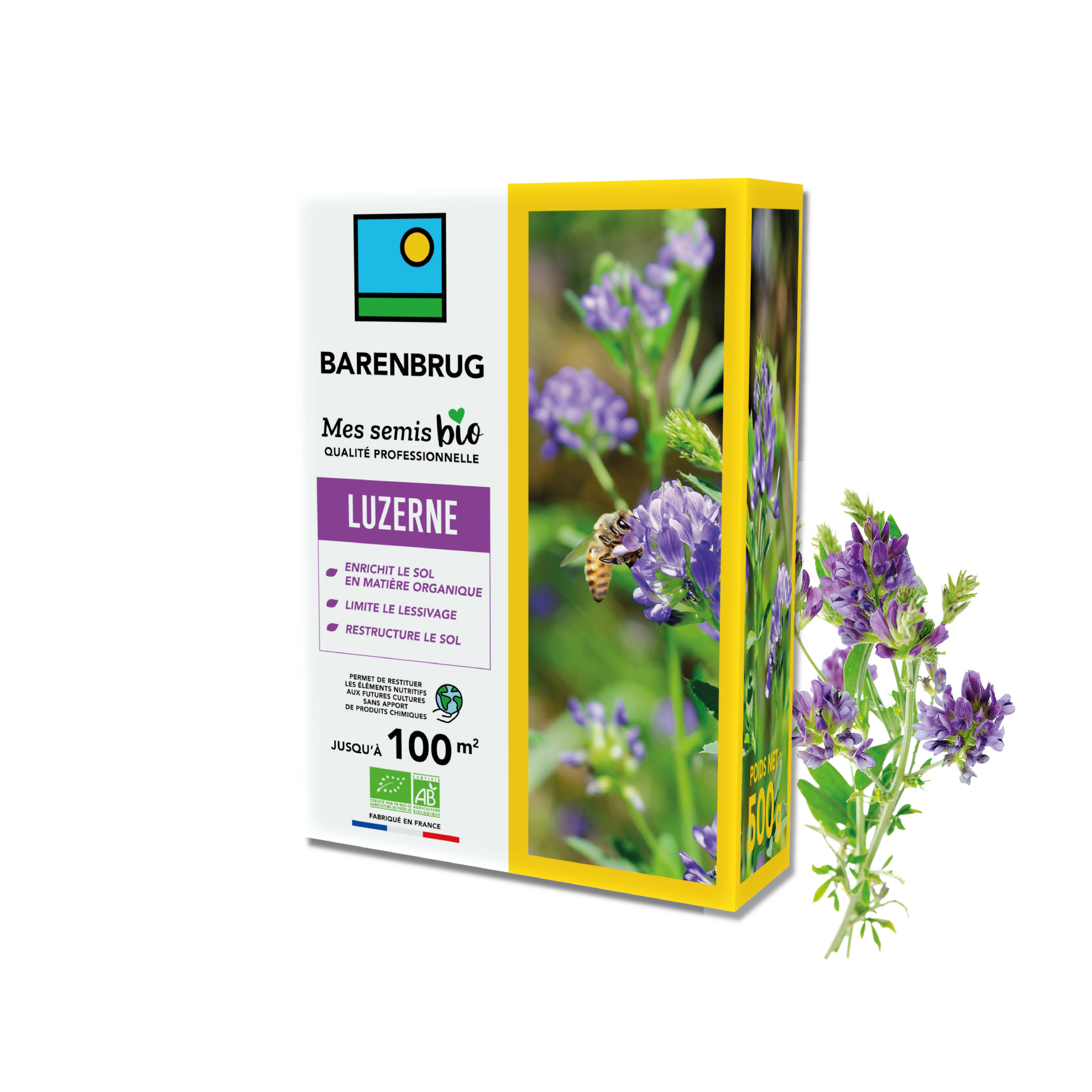 Barenbrug - Luzerne - Enrichit le Sol en Matière Organique - Limite le Lessivage - Restructure le Sol - 500G - BARENBRUG