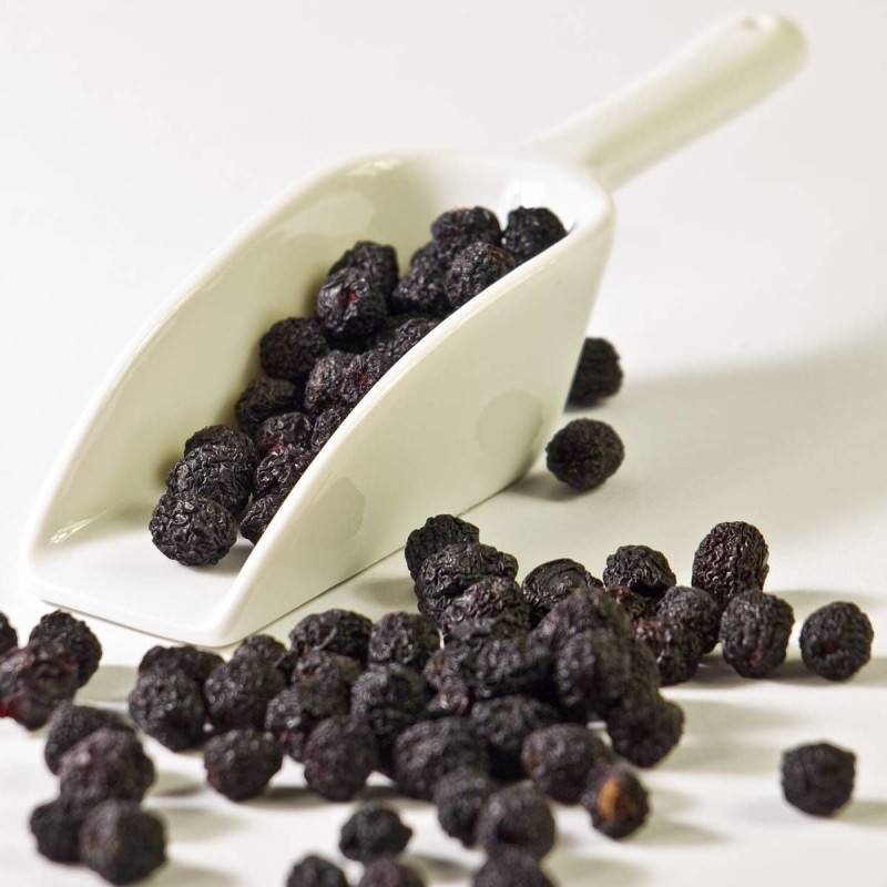 Aronie melanocarpa, Aronia à fruits noir à fleurs Blanche - feuillage Caduc - Pot de 4L - 20/40 cm-  hauteur à maturité De 1,00 m à 1,50 m - Image 2