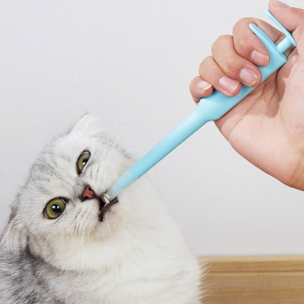 IntiMeg - Administrateur de médicaments pour chats et chiens Vert IntiMeg - Image 6