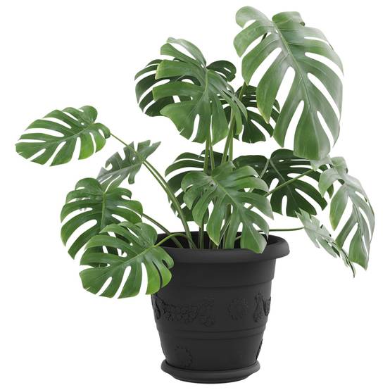 Pots de plantes plastique noir Ø 26 x 21.5 cm - PANGIVO - Image 3