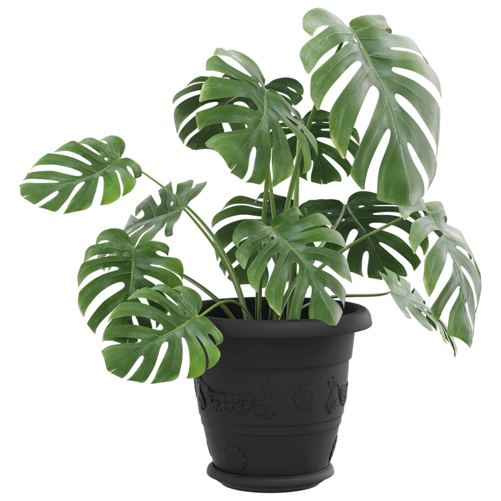 Pots de plantes plastique noir Ø 26 x 21.5 cm - PANGIVO - Image 3