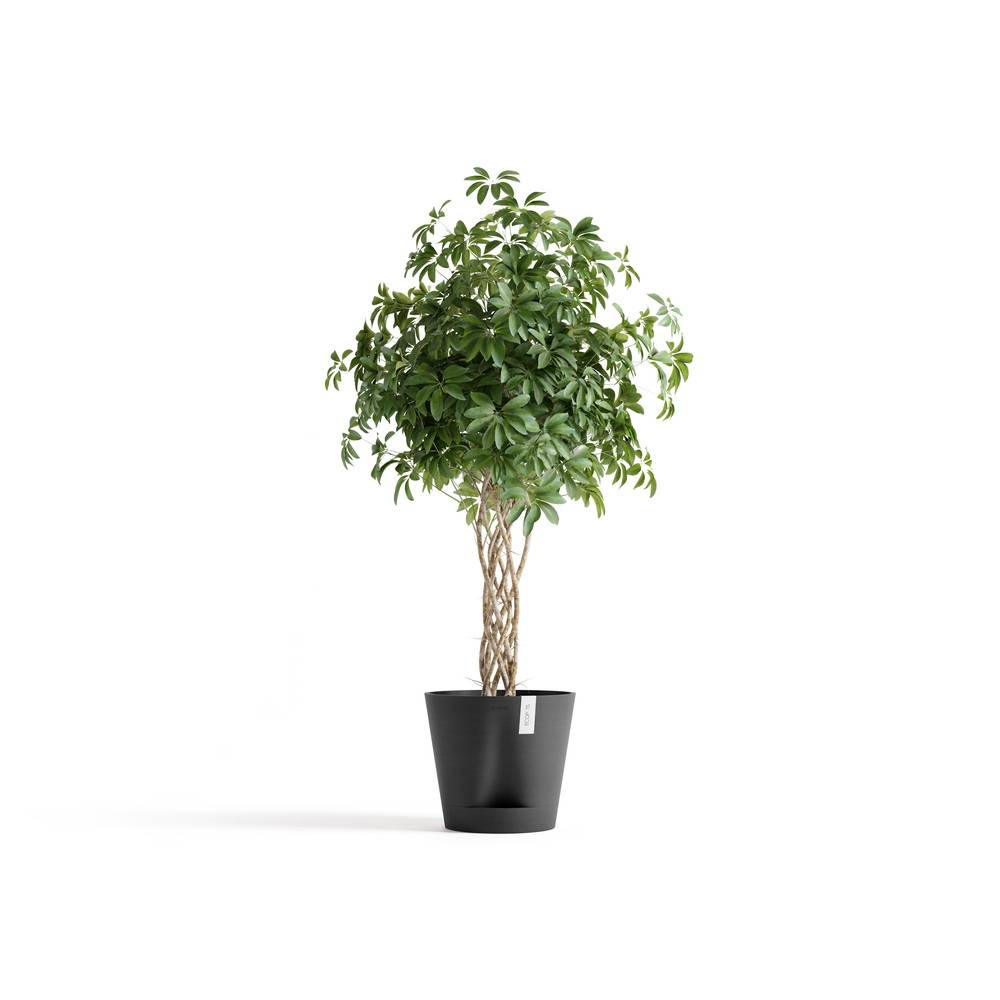 Ecopots - Pot Rond Venice 2 Gris Foncé + réservoir d'eau - Ø 40 x H. 35 cm - 4 L ECOPOTS