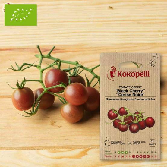 Tomate-Cerise Black Cherry- Graines bio à semer - Image 1