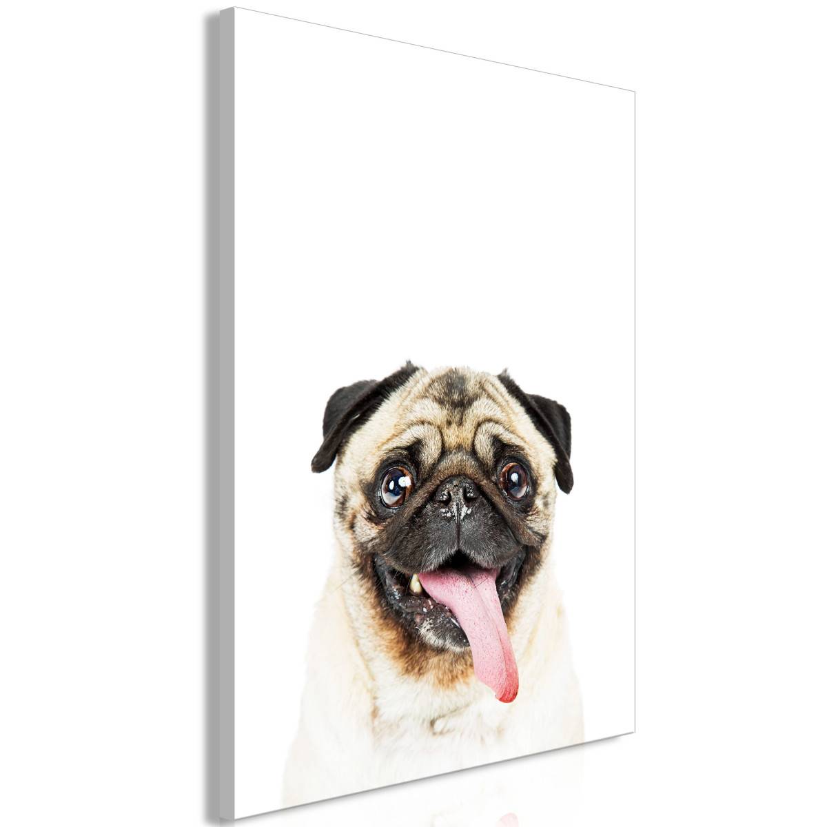 Tableau Imprimé "Pug" 40 x 60 cm - Image 1