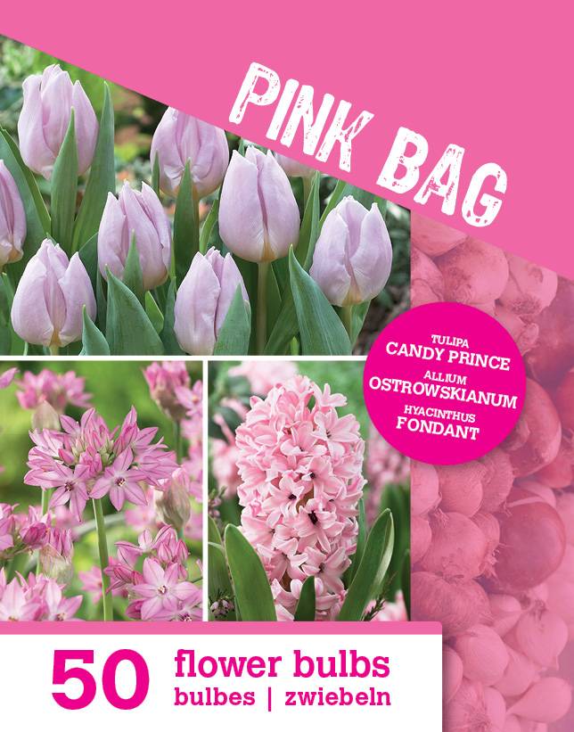 Mix de 50 - Le Sac Rose - Mix Rose - Tulipes, Jacinthes, Allium - Bulbes à fleurs - Image 2