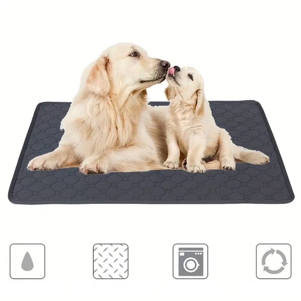 IntiMeg - Coussinet urinaire pour animaux de compagnie IntiMeg - Image 2