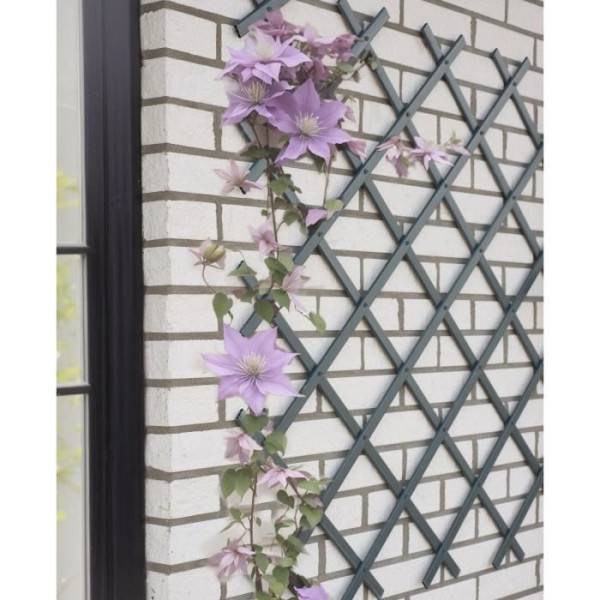 Nature - Treillis extensible - NATURE - En plastique Anthracite - 100 x 200 cm - Image 2