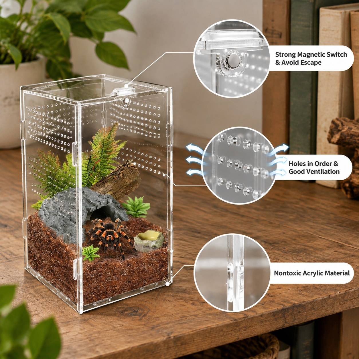 Boîte d'élevage acrylique transparente pour reptiles avec ventilation et fermeture magnétique - Image 3