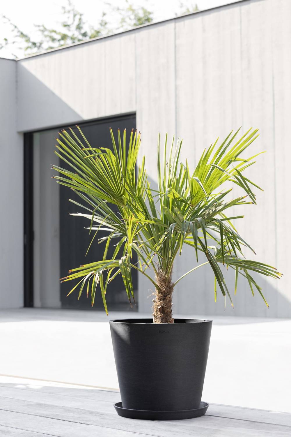 Ecopots - Pot Rond Amsterdam 40 Gris Foncé + réservoir d'eau - Ø 40 x H. 35 cm - 28 L ECOPOTS - Image 3
