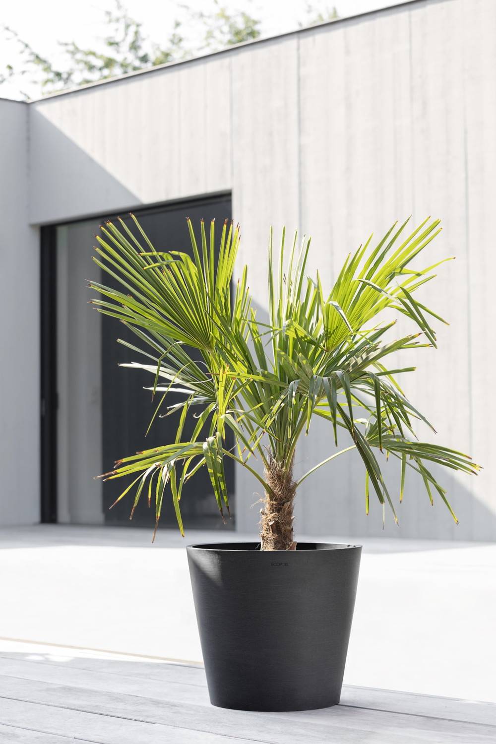Ecopots - Pot Rond Amsterdam 40 Gris Foncé + réservoir d'eau - Ø 40 x H. 35 cm - 28 L ECOPOTS - Image 4