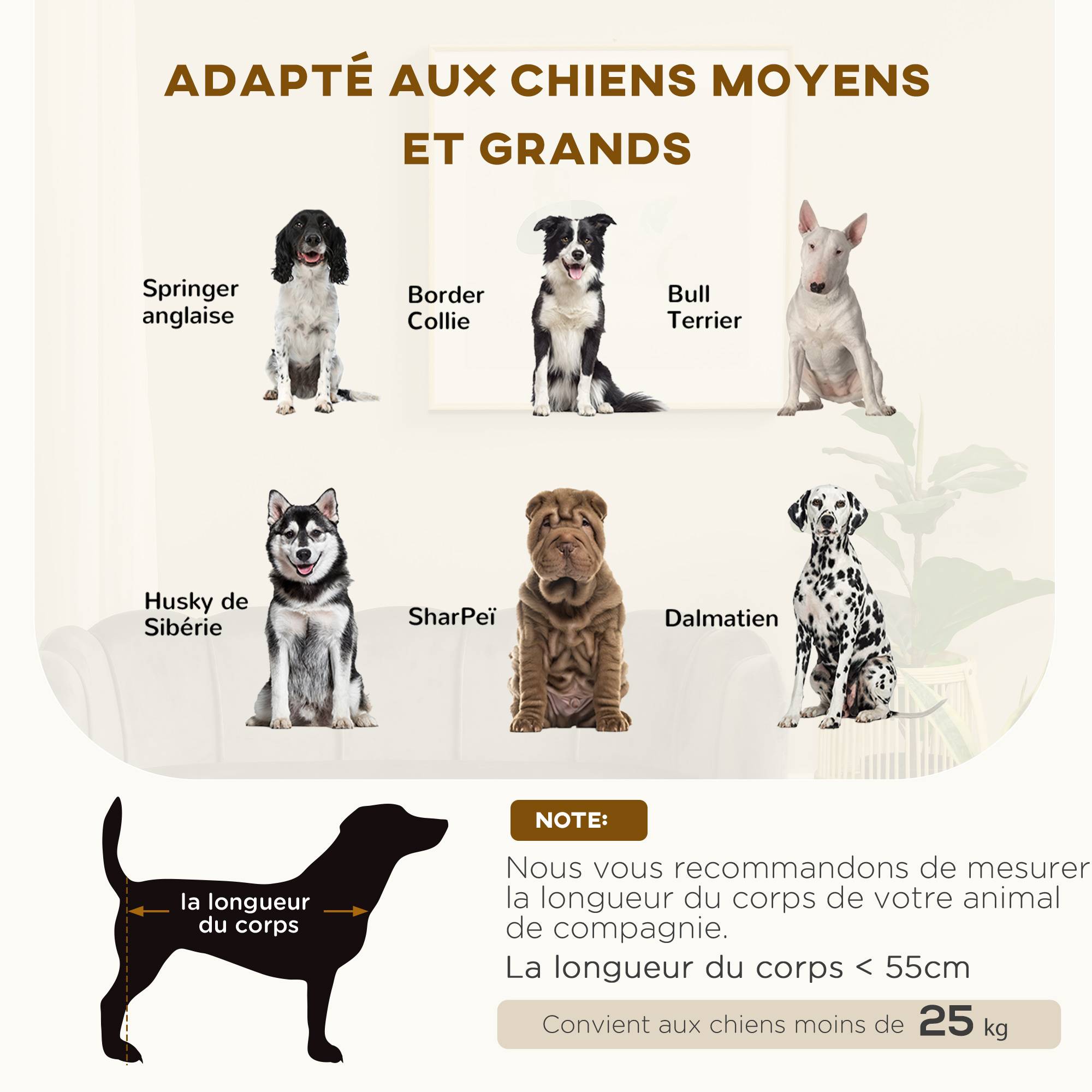 Sans Marque - Canapé chien lit pour chien chat coquillage 98L x 60l x 35H cm coussin moelleux velours gris - Image 6