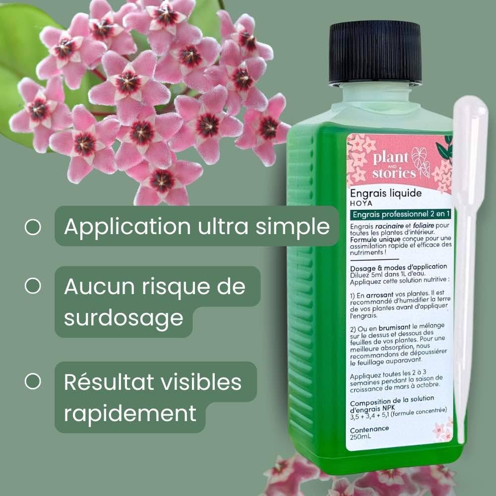 Engrais Hoya - Engrais liquide 250ml - Engrais racinaire et foliaire + Pipette graduée offerte ! - Image 2
