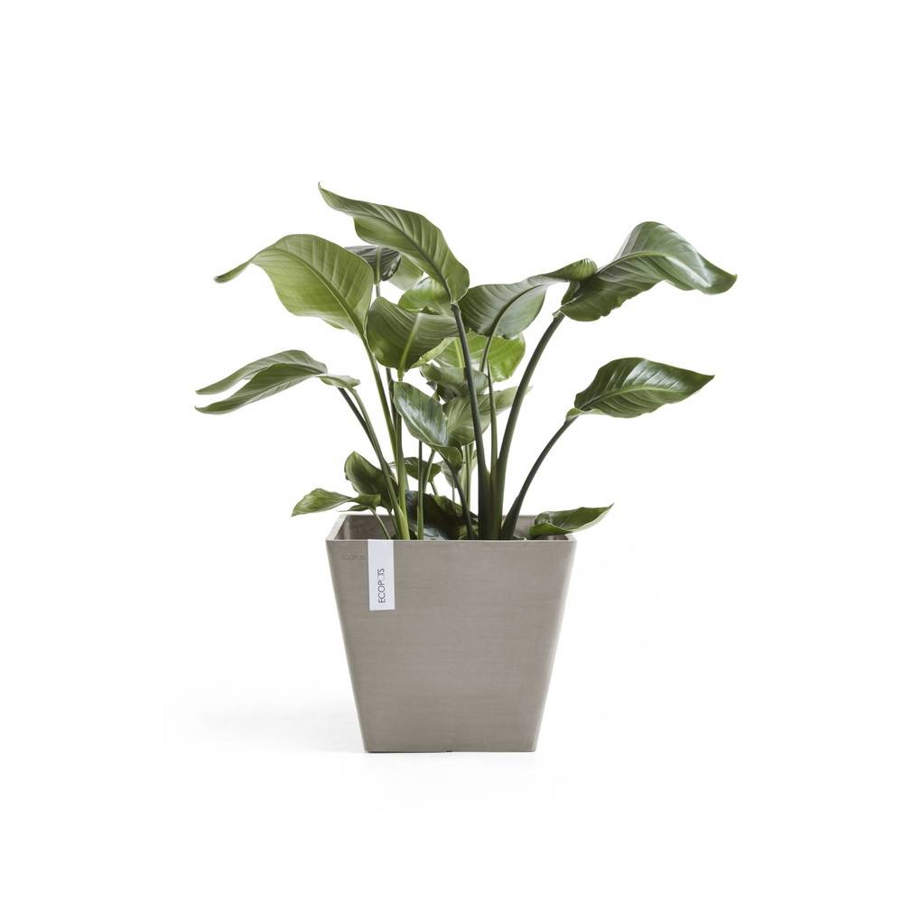 Ecopots - Pot Carré Rotterdam 50 Taupe - 50 x 50 x H. 44 cm - 75 L ECOPOTS - Image 1