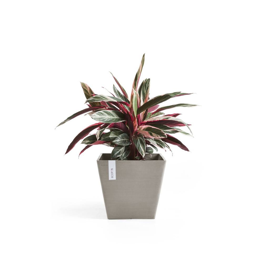 Ecopots - Pot Carré Rotterdam 50 Taupe - 50 x 50 x H. 44 cm - 75 L ECOPOTS - Image 2