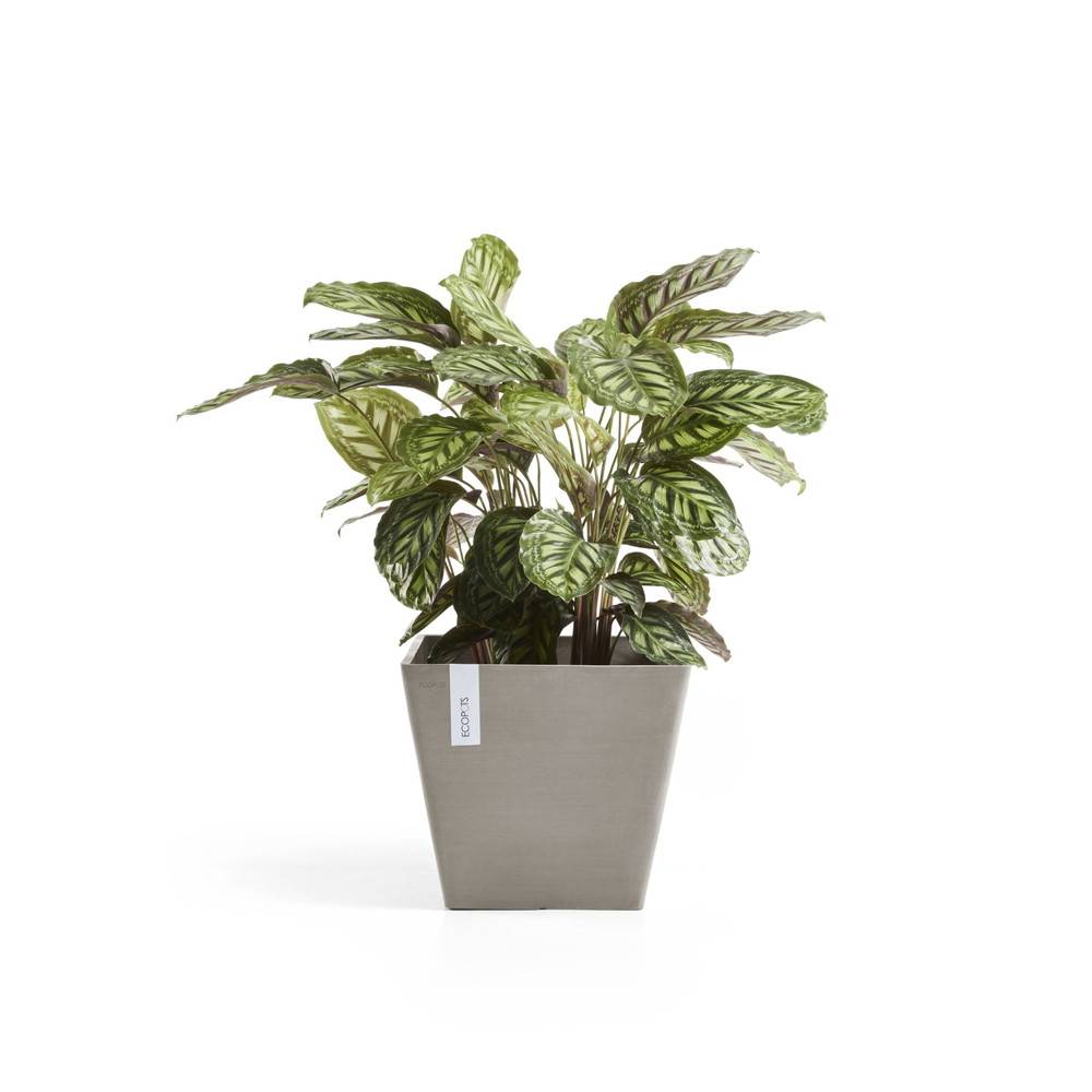 Ecopots - Pot Carré Rotterdam 50 Taupe - 50 x 50 x H. 44 cm - 75 L ECOPOTS - Image 3