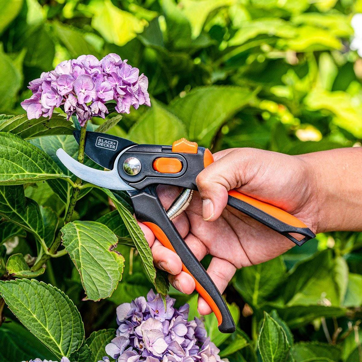 Sécateur de jardin Lame en Acier Trempé 20.3cm - Ciseaux de Jardin Coupe 13mm Plantes, Haies et Fleurs  Black&Decker - Image 3