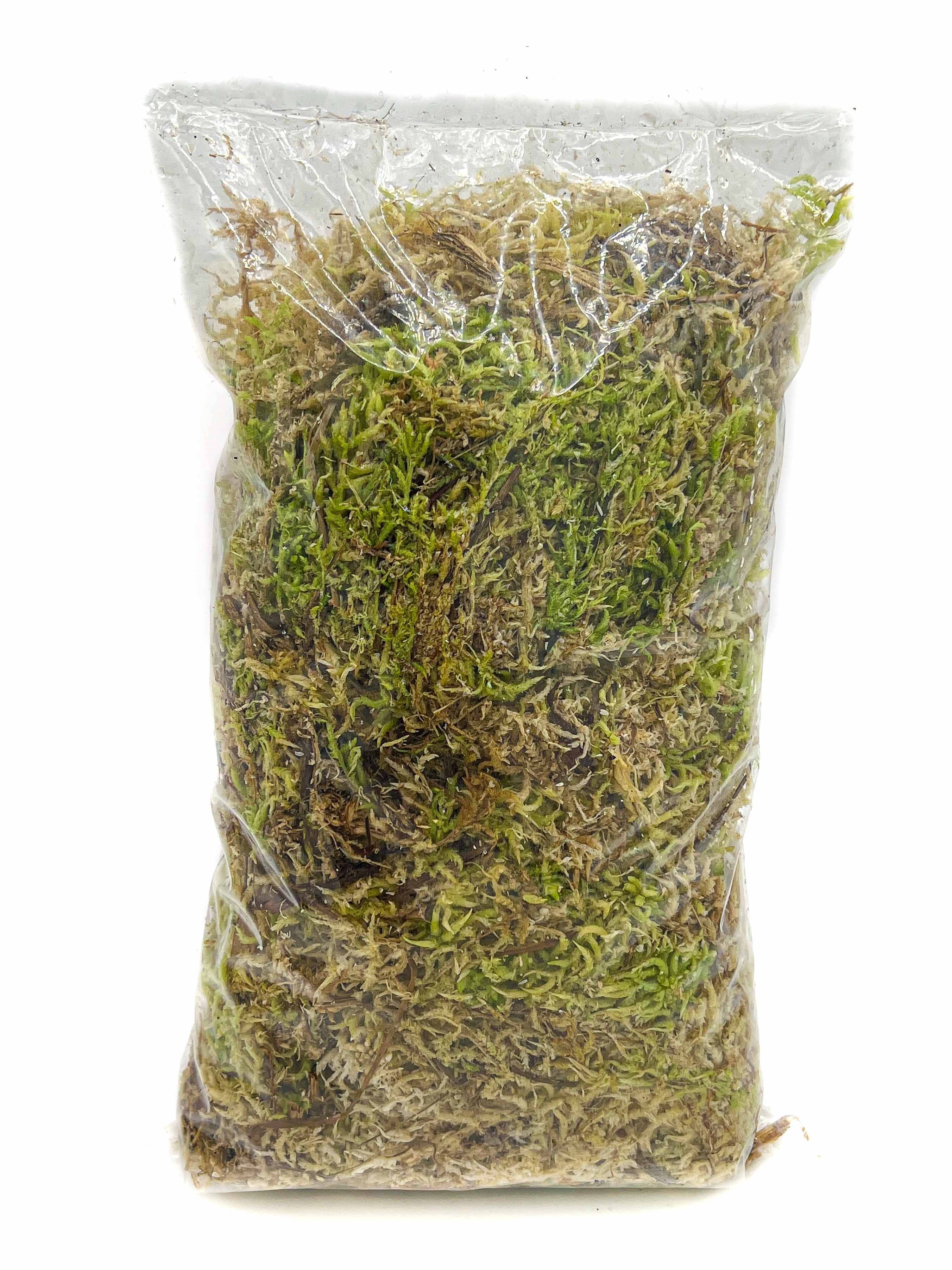 Pack Producteur Sphaigne Vivante - Sphaigne pour plante - Mousse de sphaigne - 6 sachets - Image 8