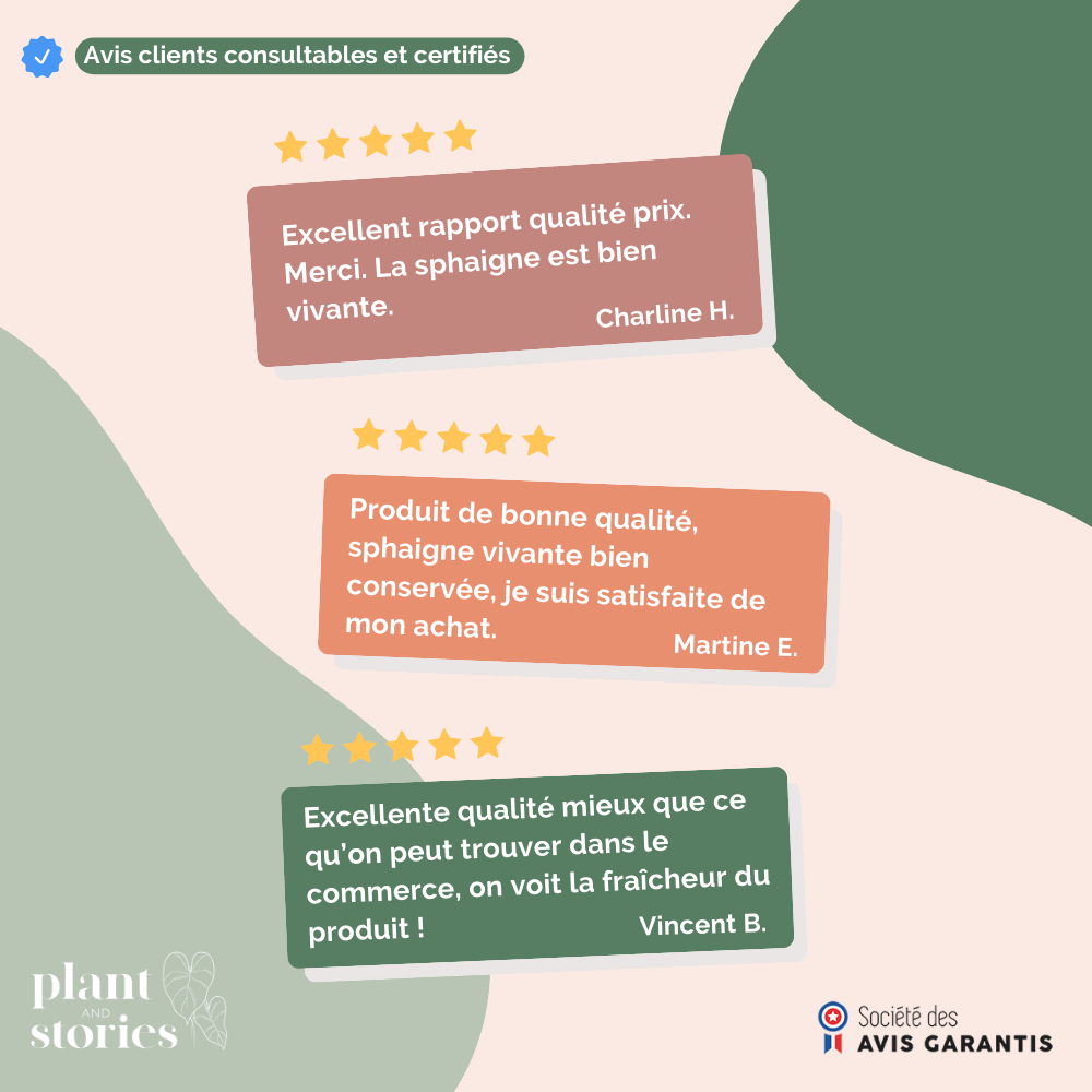 Pack Producteur Sphaigne Vivante - Sphaigne pour plante - Mousse de sphaigne - 6 sachets - Image 3