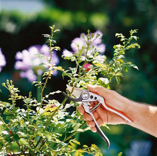 Gardena - Sécateur pro BP 50 Gardena - Image 2