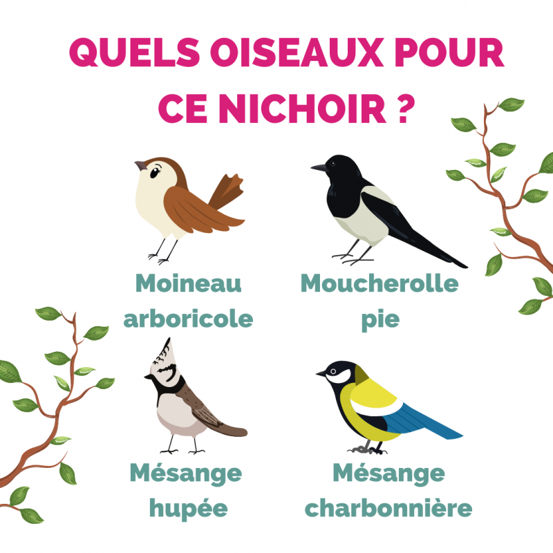 Esschert Design - Nichoir oiseau en bois à assembler - Esschert Design - Image 5