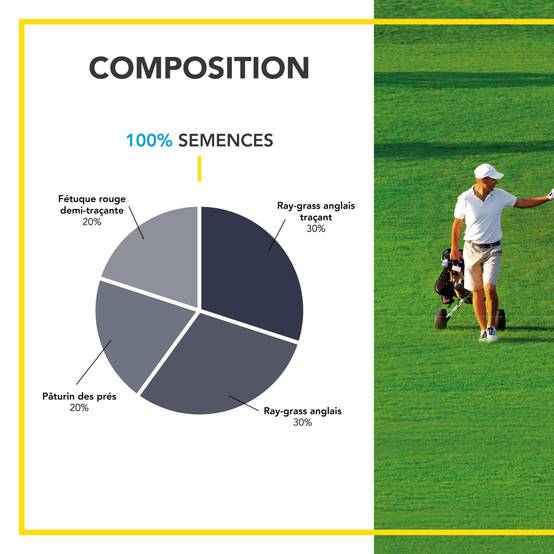 Gazon Ligue Pro et Golf - pour Terrains de Compétition - Esthétisme, Performance - Fin, Dense, Solide - 1KG - BARENBRUG - Image 3