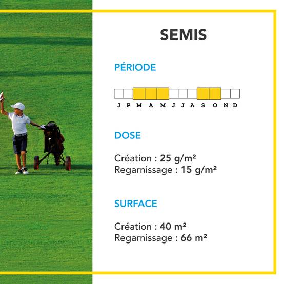Gazon Ligue Pro et Golf - pour Terrains de Compétition - Esthétisme, Performance - Fin, Dense, Solide - 1KG - BARENBRUG - Image 4