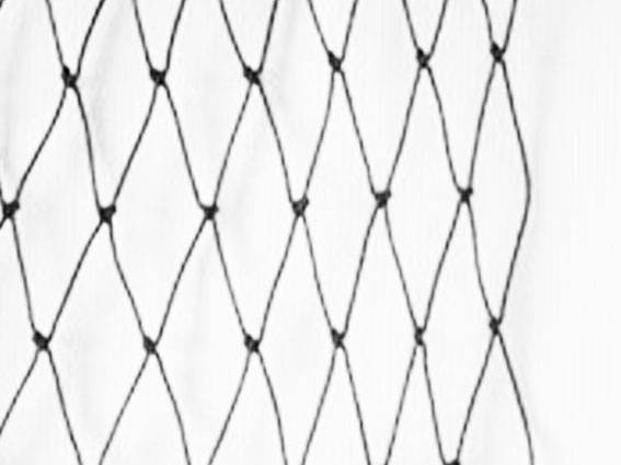 Maille Store - Filet pêche en étang - 25mm - Câblé noué 50m x 80mailles Noir