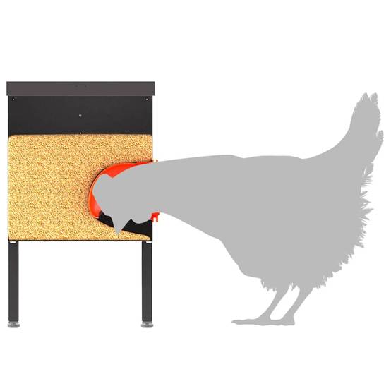 Vidaxl - Mangeoire pour poules Noir 41,5 x 20,5 x 33 cm vidaXL 874654 - Image 9