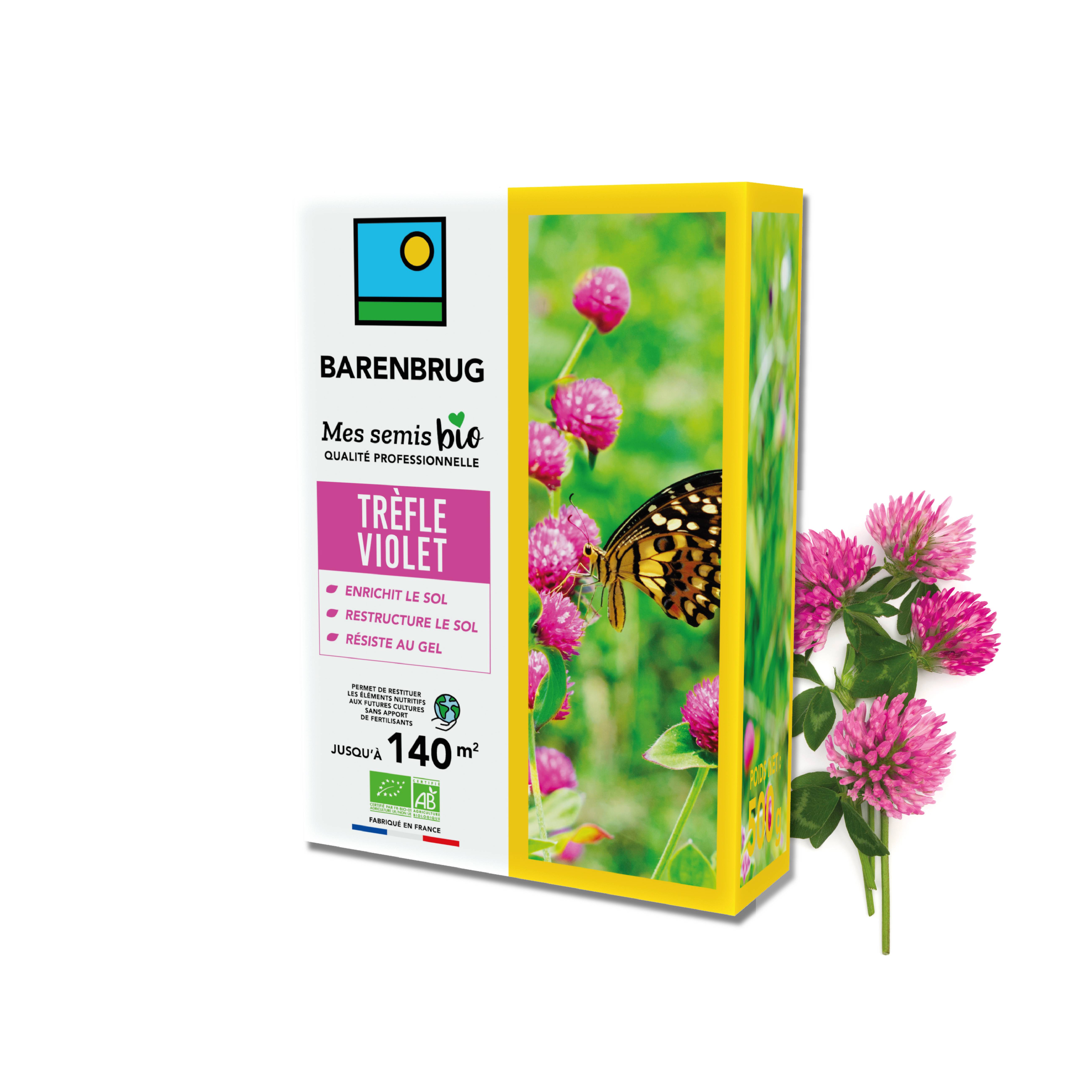 Barenbrug - Trèfle violet - Enrichit le Sol - Restructure le Sol - Résiste au Gel - Restitue les Éléments Nutritifs aux Futures Cultures - 500G - BARENBRUG