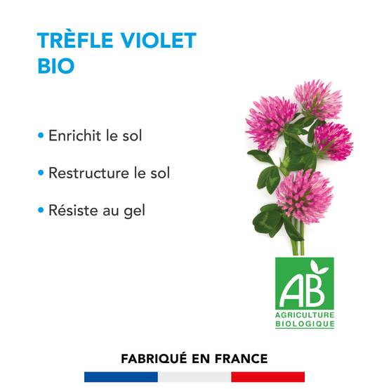 Trèfle violet - Enrichit le Sol - Restructure le Sol - Résiste au Gel - Restitue les Éléments Nutritifs aux Futures Cultures - 500G - BARENBRUG - Image 2