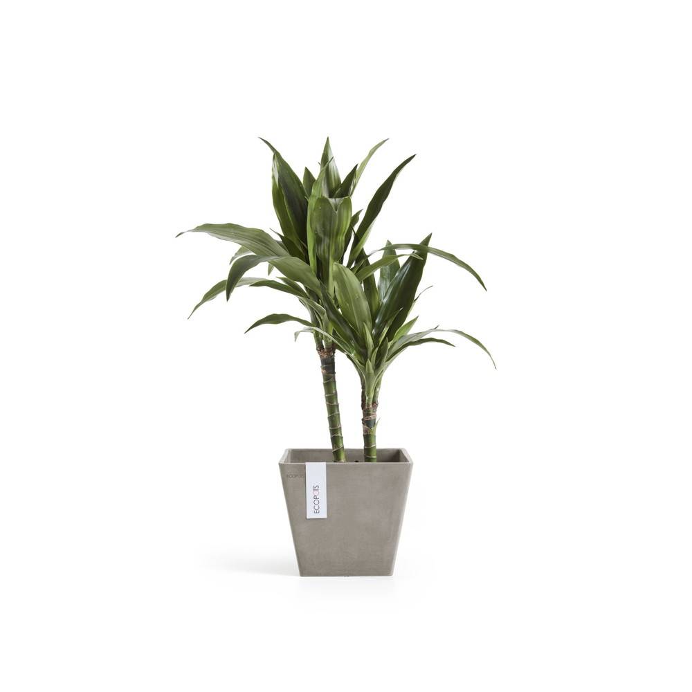 Ecopots - Pot Carré Rotterdam 20 Taupe - 20 x 20 x H. 17,5 cm - 5,2 L ECOPOTS - Image 3