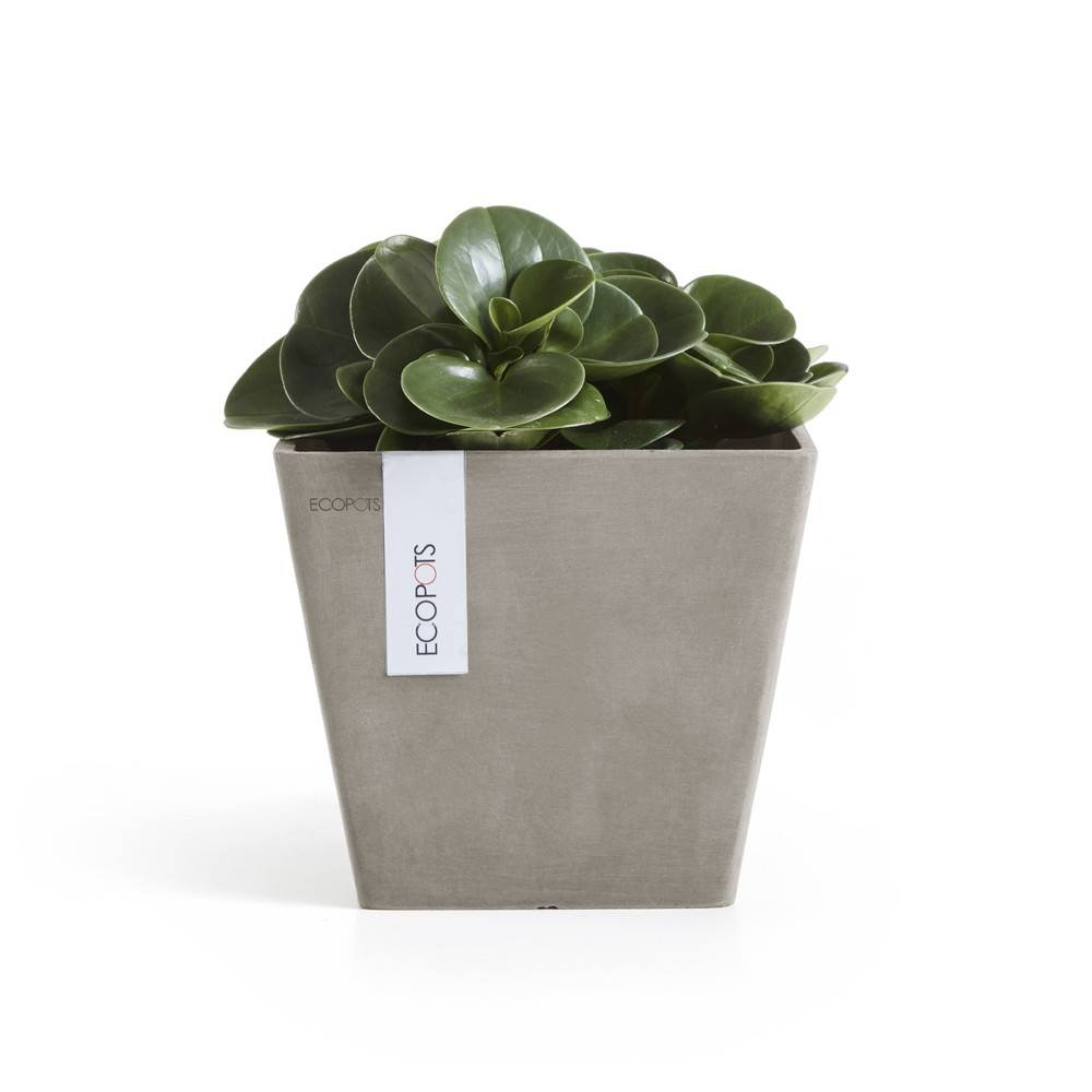 Ecopots - Pot Carré Rotterdam 20 Taupe - 20 x 20 x H. 17,5 cm - 5,2 L ECOPOTS - Image 1