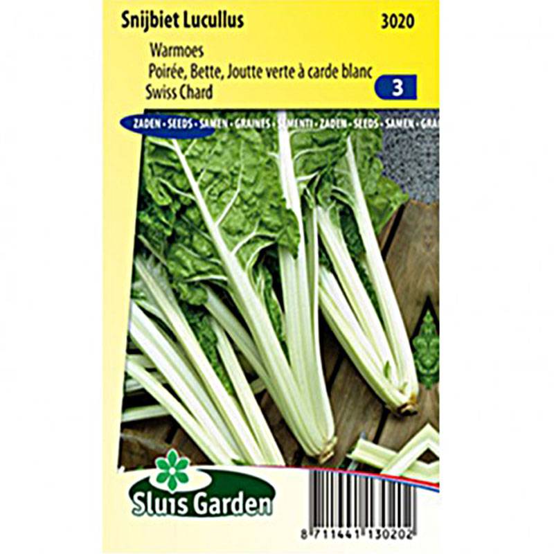 Poirée verte à carde blanche Lucullus - Blette - Beta vulgaris le sachet de 150 graines environ (4g)