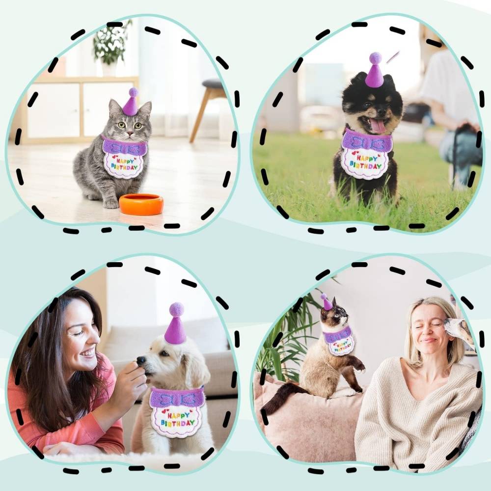 Set fête anniversaire chien/chat - Bandana + chapeau réglables - Motif "Joyeux Anniversaire" - Violet - Living123 - Image 6