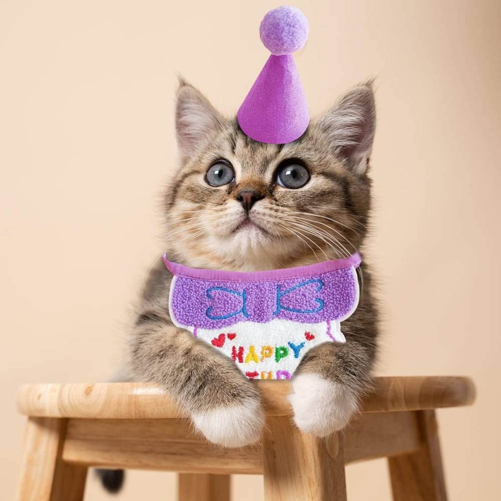 Set fête anniversaire chien/chat - Bandana + chapeau réglables - Motif "Joyeux Anniversaire" - Violet - Living123 - Image 4