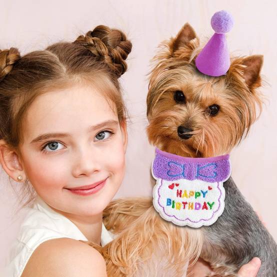 Set fête anniversaire chien/chat - Bandana + chapeau réglables - Motif "Joyeux Anniversaire" - Violet - Living123 - Image 5