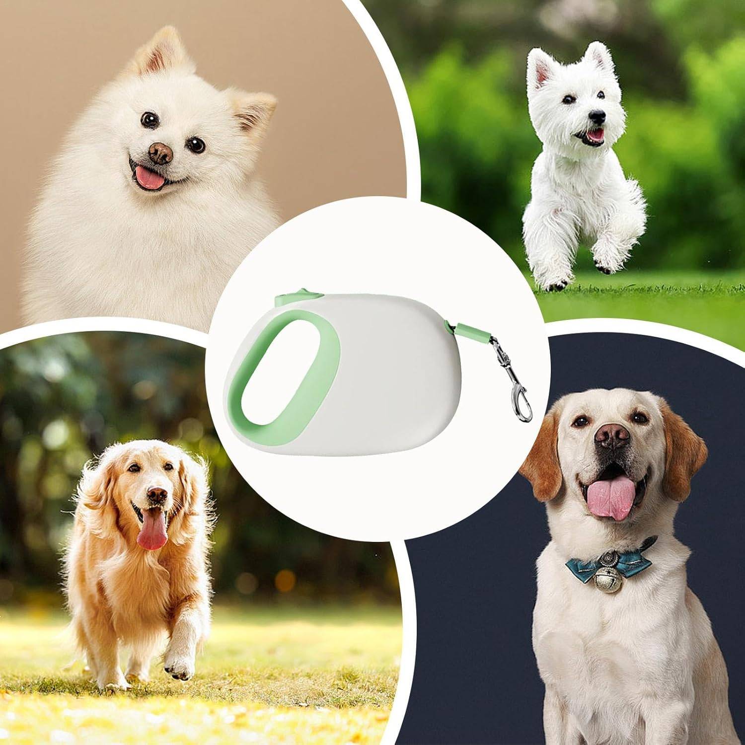 DtopbuyAge - Laisse Rétractable Chien 5m - Robustesse et Portabilité DtopbuyAge - Image 4