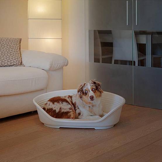 Ferplast - FERPLAST - Panier Chien - Lit pour Chien en Plastique Medium - 100% Plastique Recyclé - Lit pou Chat Lavable - Respirant Antidérapant - Siesta - Image 4