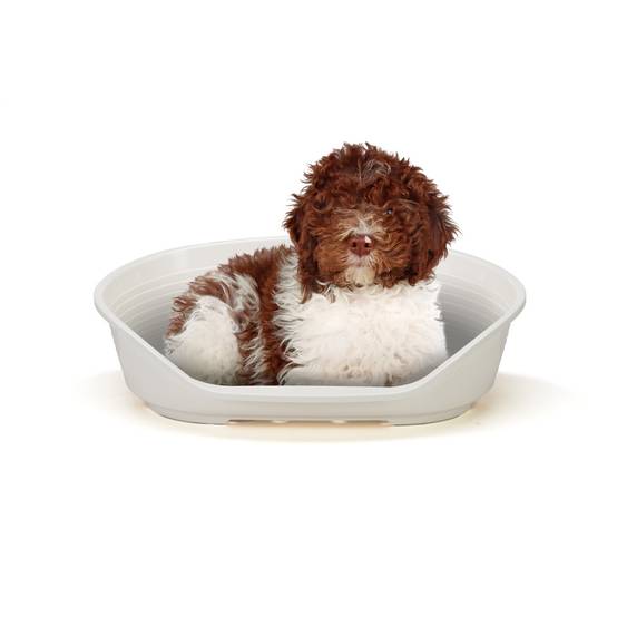 Ferplast - FERPLAST - Panier Chien - Lit pour Chien en Plastique Medium - 100% Plastique Recyclé - Lit pou Chat Lavable - Respirant Antidérapant - Siesta - Image 5