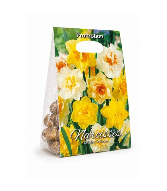 Narcisses doubles Sgaravatti 25 bulbes en mélange, floraison printanière généreuse pour massifs et bouquets - NAR81 - Image 2